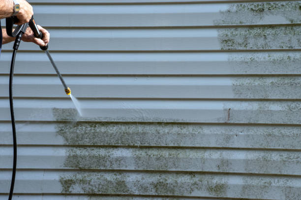 Best Residential Vinyl Siding Installation  in Rutgers University Livingston Campus, NJ