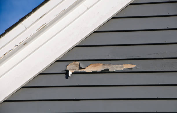 Best Stucco Siding  in Rutgers University Livingston Campus, NJ